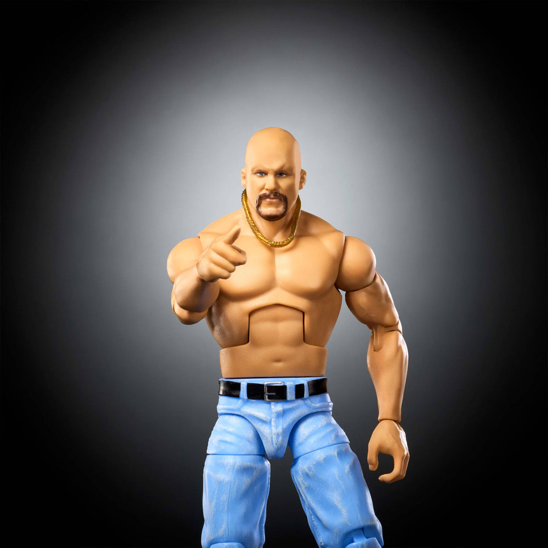 WWE Elite Collection Legends Action Figure & Accessories Set, Assorted*