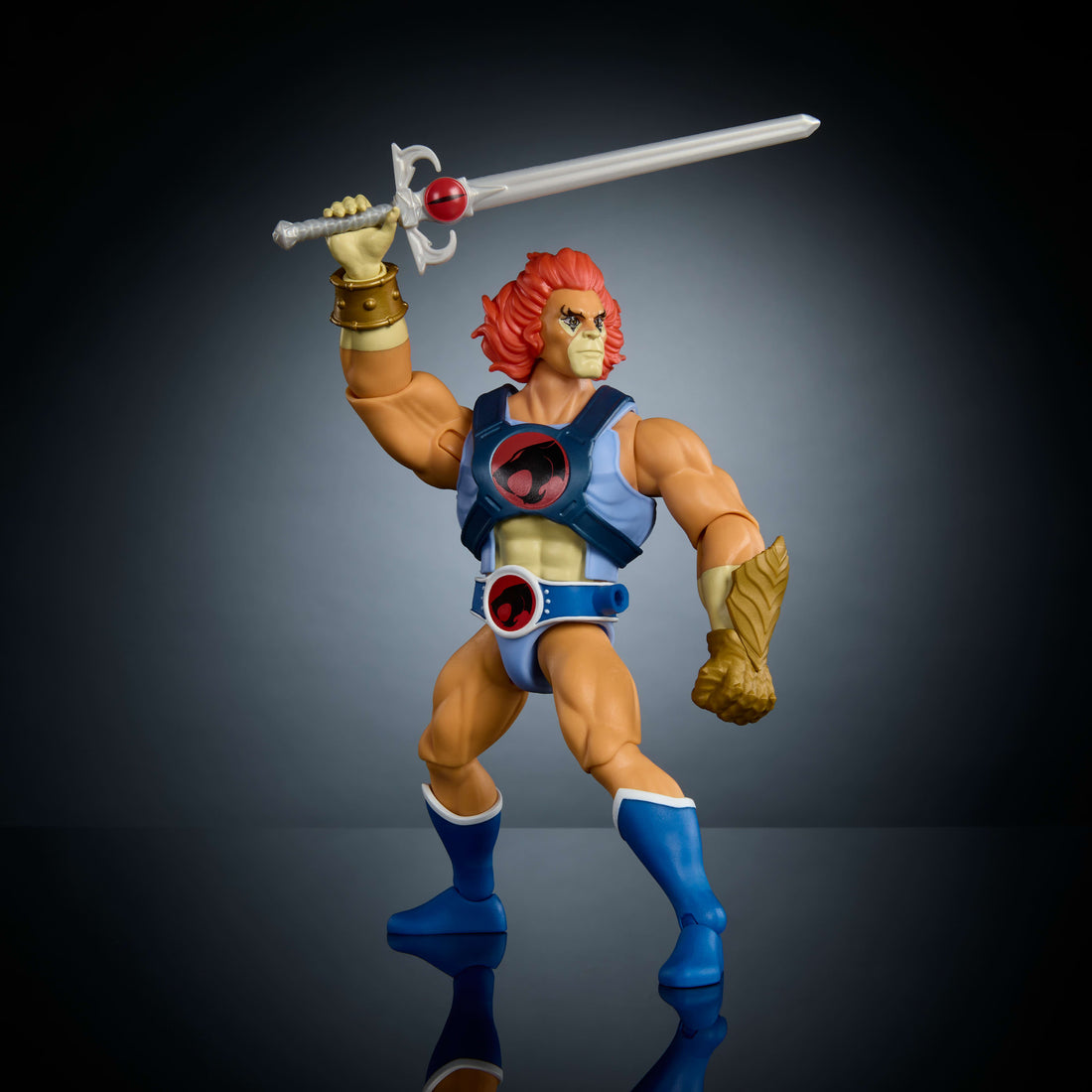 Masters of the Universe x ThunderCats Lion-O Action Figure